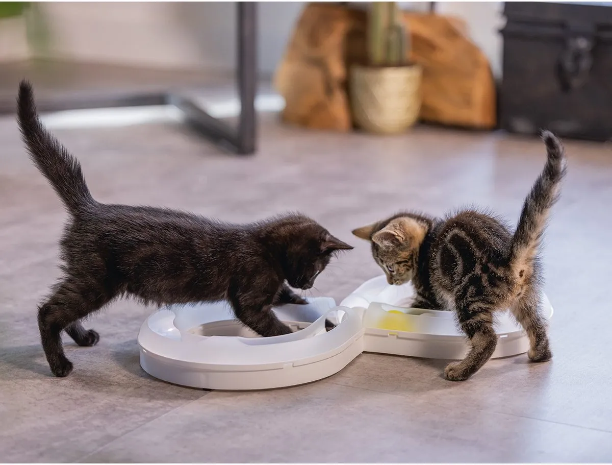 Beeztees Kitten Speelrail AGTY - Kattenspeelgoed - 50x24x5,5cm - Wit/Geel - afbeelding 6 van 6
