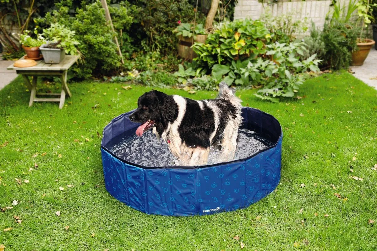 Beeztees Doggy Dip Hondenzwembad - Blauw 160x160x30cm