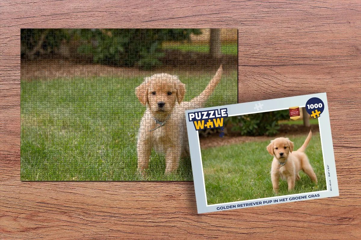 PuzzleWow Legpuzzel Golden Retriever 1000 Stuks - Multicolor