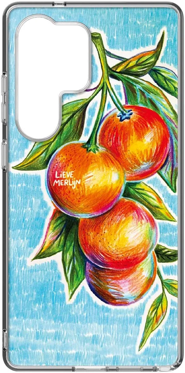 Samsung Lieve Merlijn Mandarin Hybrid Hoesje S25 Ultra - Blauw