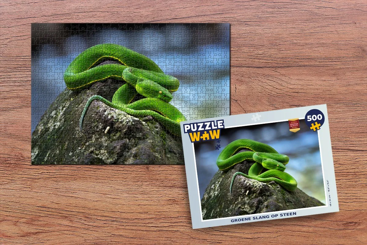 PuzzleWow Legpuzzel Groene Slang op Steen 500 Stuks - Multicolor
