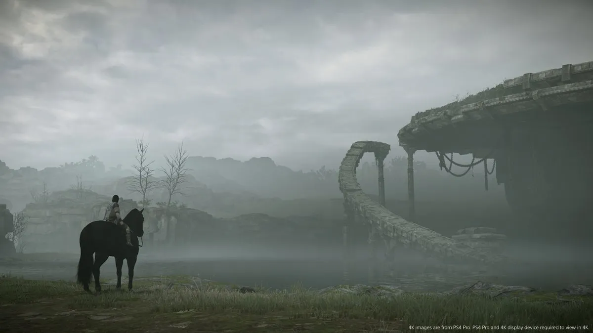 Sony PlayStation Shadow of the Colossus PS4
