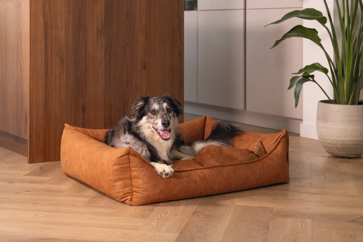 Beeztees Lua Orthopedische Hondenmand - 80x60x24cm - Cognac