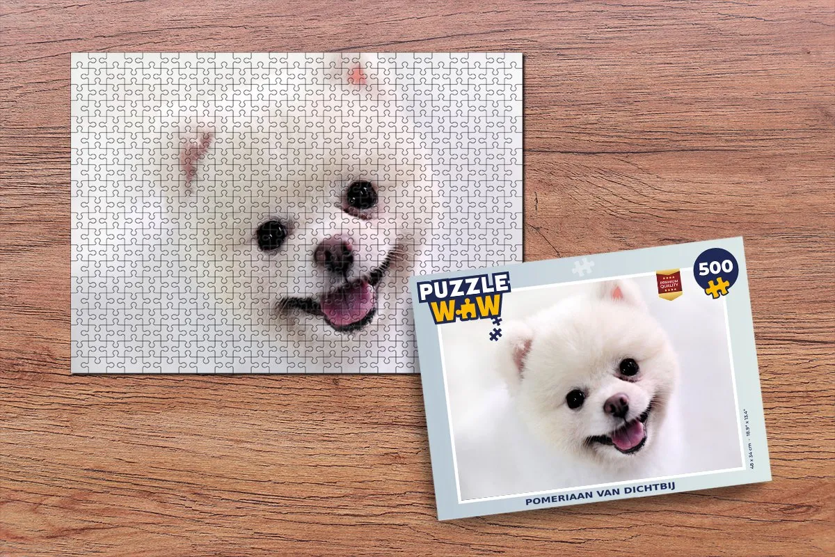 PuzzleWow Pomeriaan van dichtbij Legpuzzel 500 Stuks - Multicolor