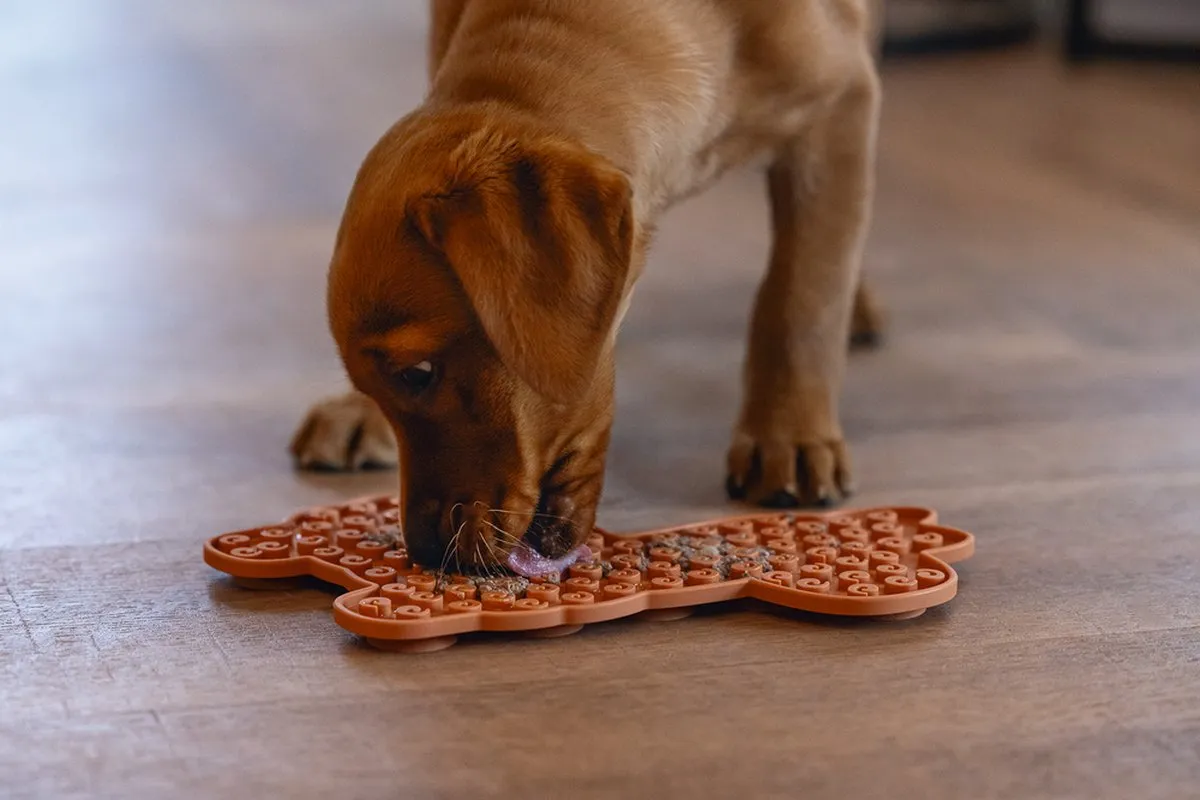 Beeztees Puppy Likmat Lama Molly Silicone - Terracotta