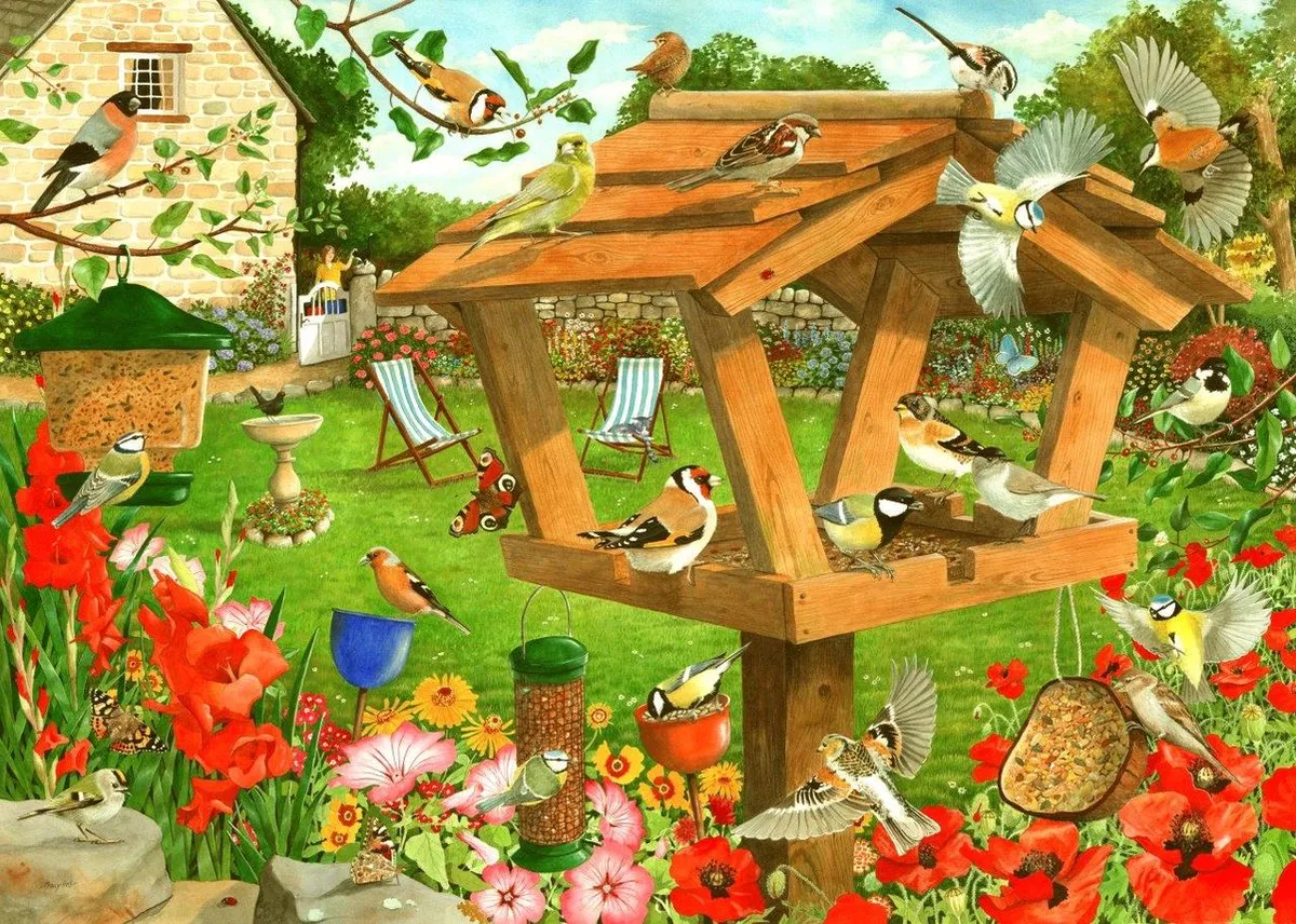 House Of Puzzles Strictly For The Birds Legpuzzel 1000 Stuks - HP0514 - Multicolor