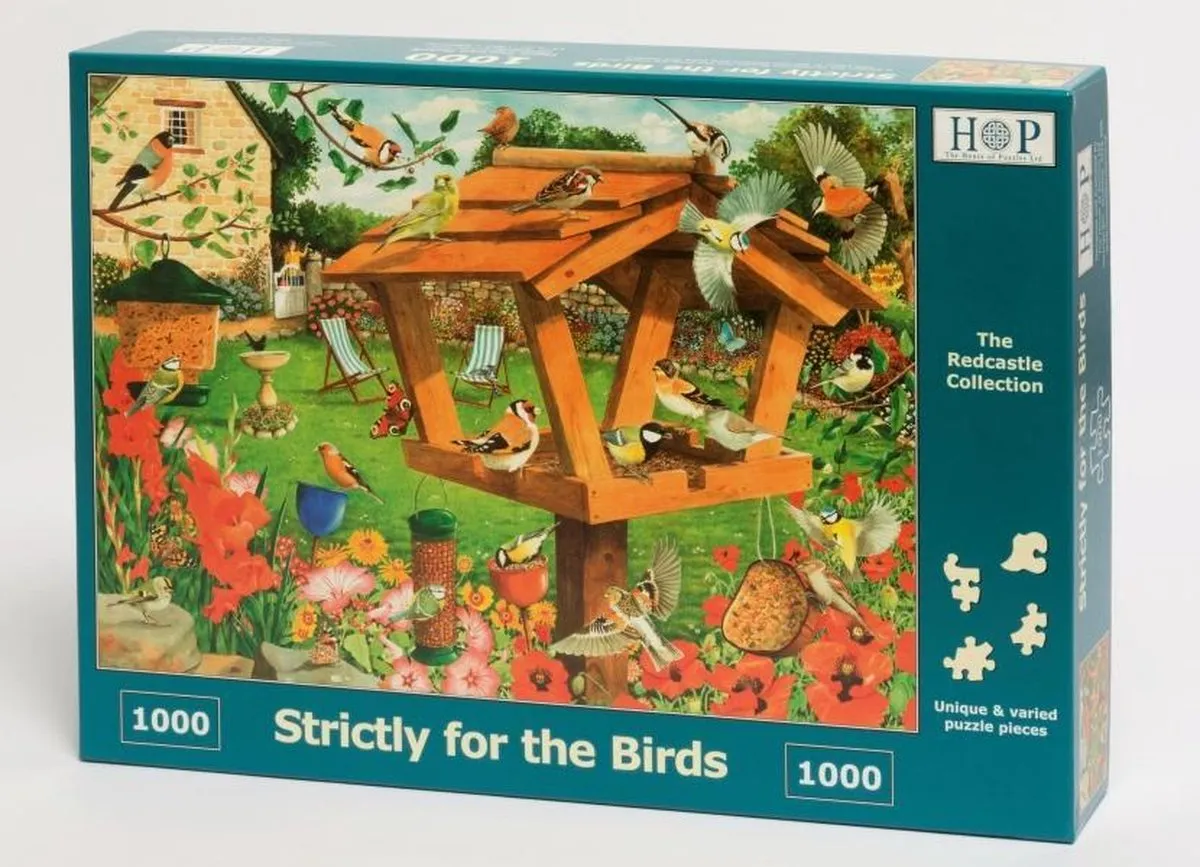 House Of Puzzles Strictly For The Birds Legpuzzel 1000 Stuks