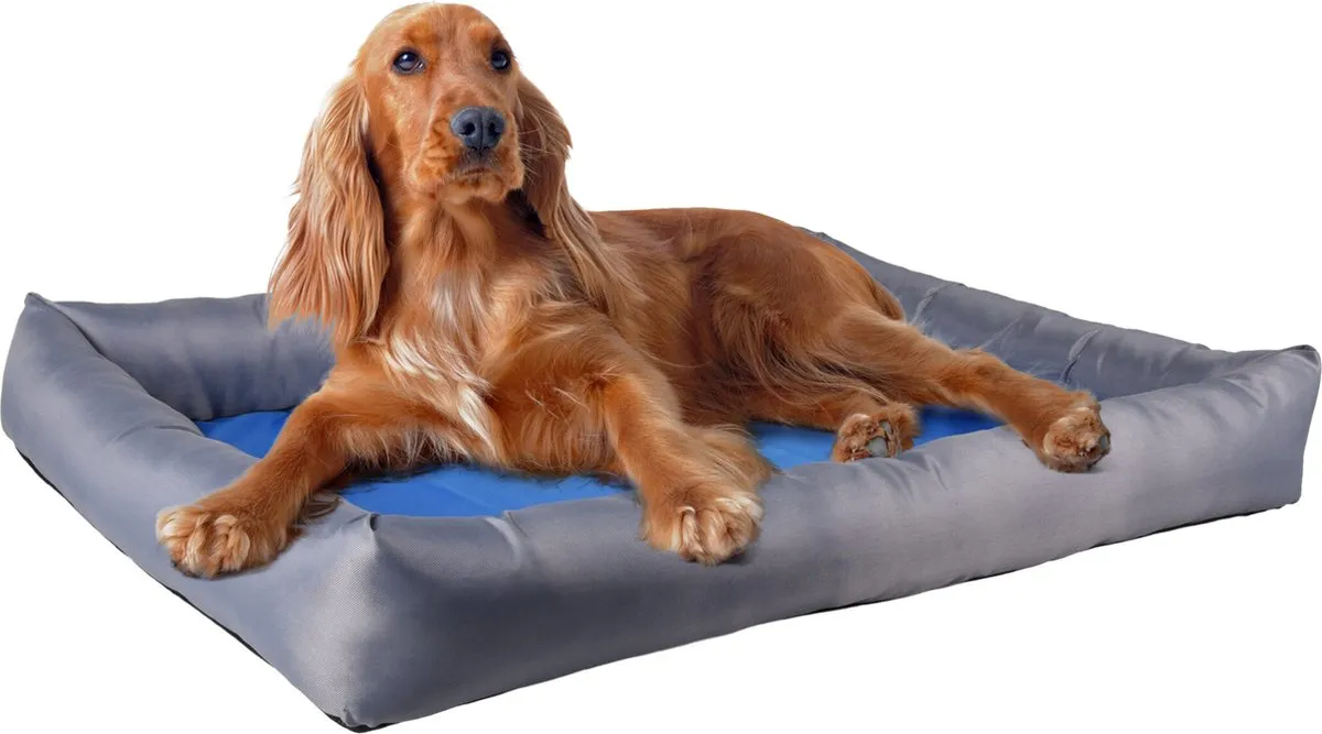 Flamingo Fresk - Koelmand Honden - Koelmand Fresk Rechthoekig Blauw Grijs L 70x50x8,5cm - 1st - 123862 - 1st