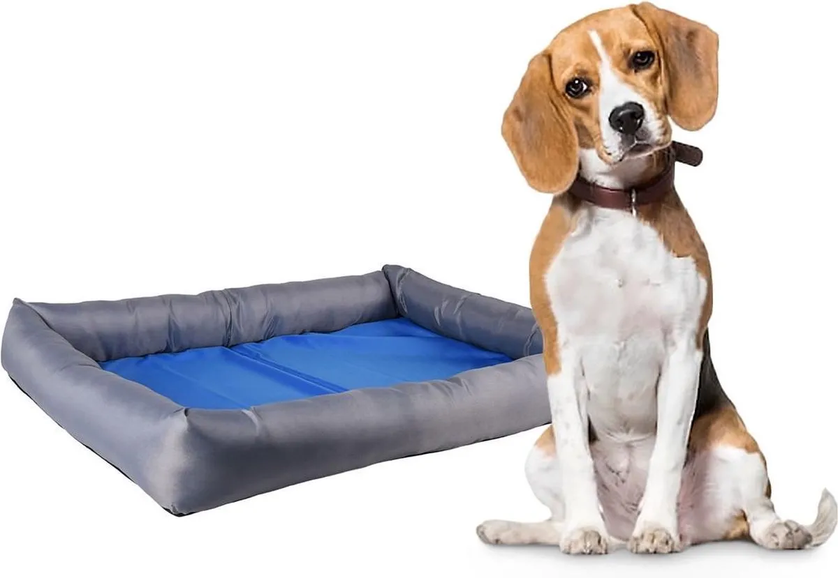 Flamingo Fresk - Koelmand Honden - Koelmand Fresk Rechthoekig Blauw Grijs L 70x50x8,5cm - 1st - 123862 - 1st