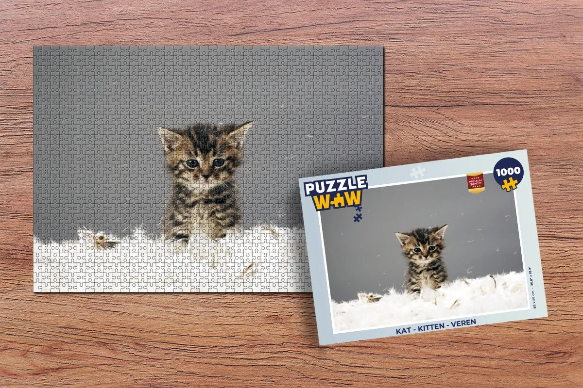 PuzzleWow Kat - Kitten Legpuzzel 1000 Stuks - Multicolor