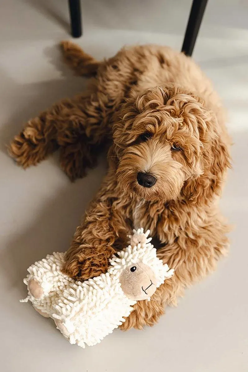 Beeztees Jovi Eco Hondenspeeltje Schaapje 20cm - Beige