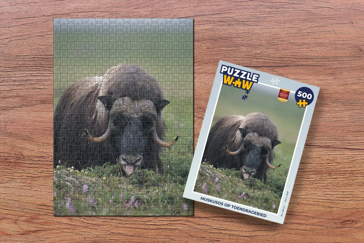 PuzzleWow Legpuzzel Muskusos op Toendragebied 500 Stuks - Multicolor