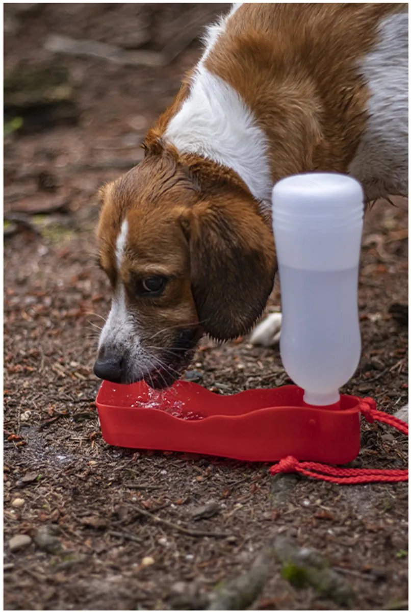 Flamingo Gulliver Waterfles Honden 750ml - Rood