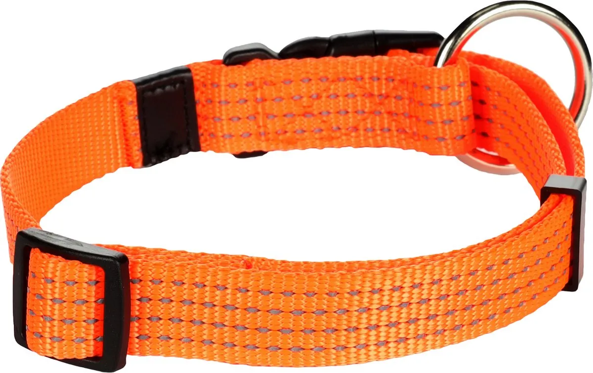 Flamingo Hondenhalsband Asp 40-55cm - 20mm - Oranje