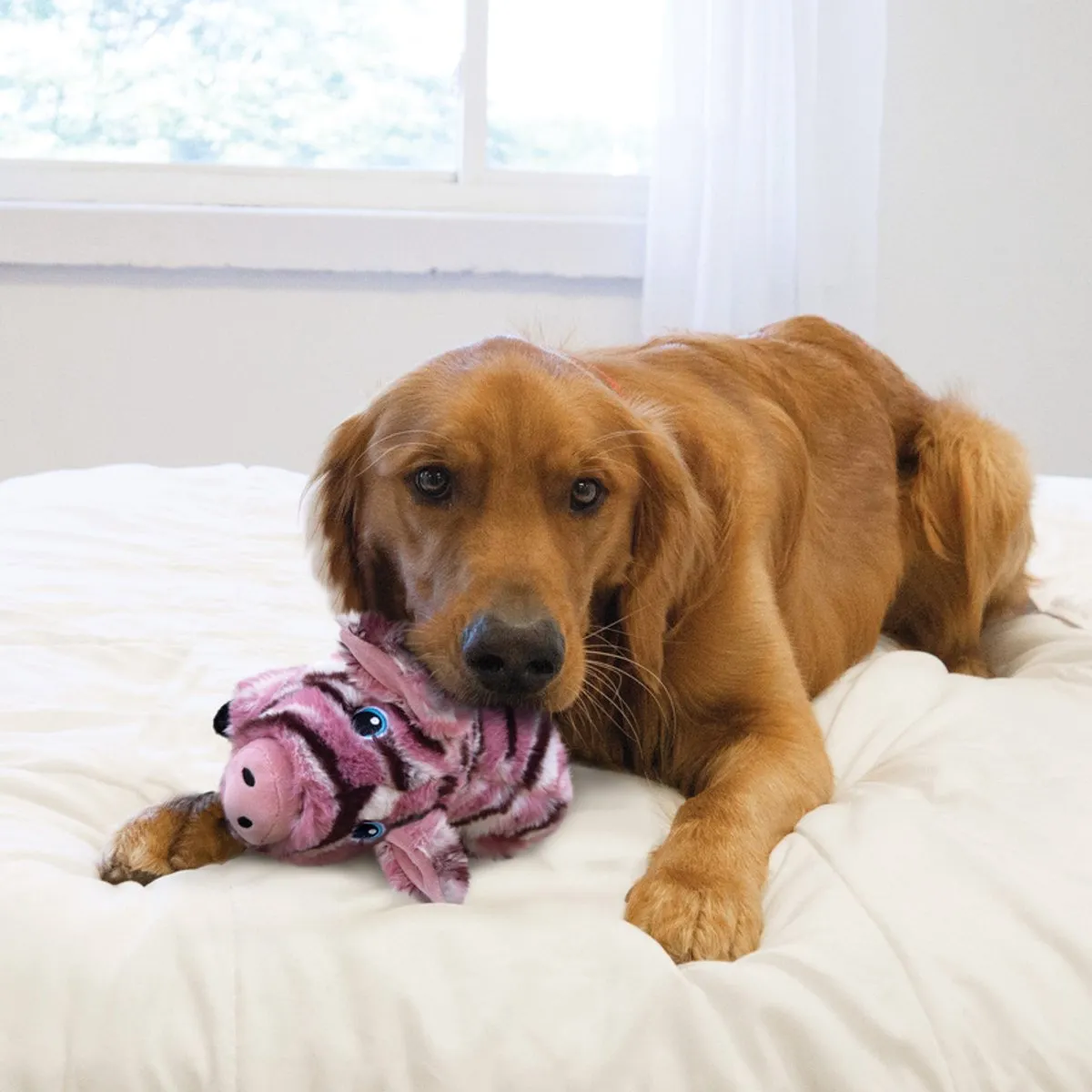 KONG Low Stuff Stripes Pig - Roze