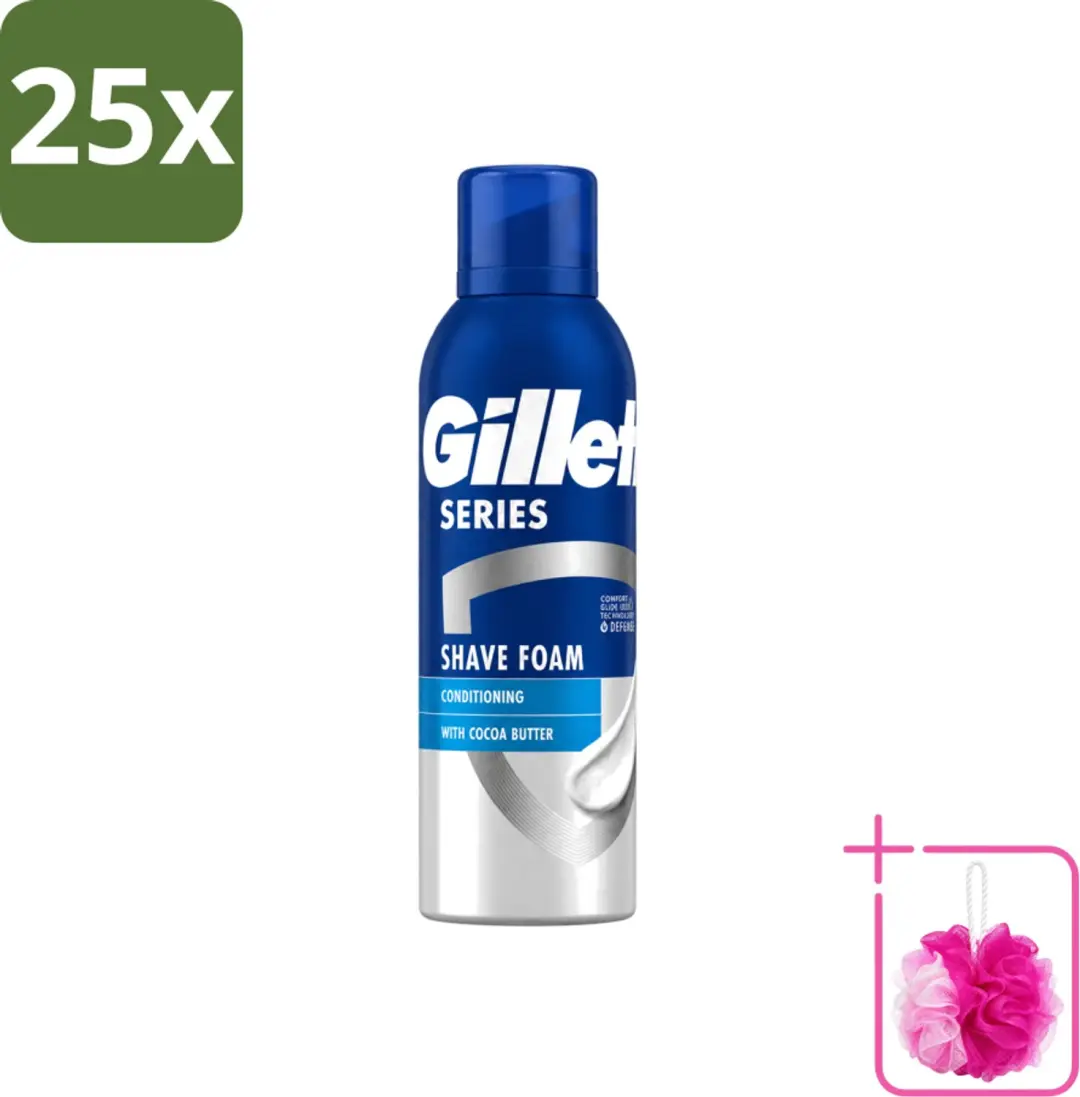25 x Gillette