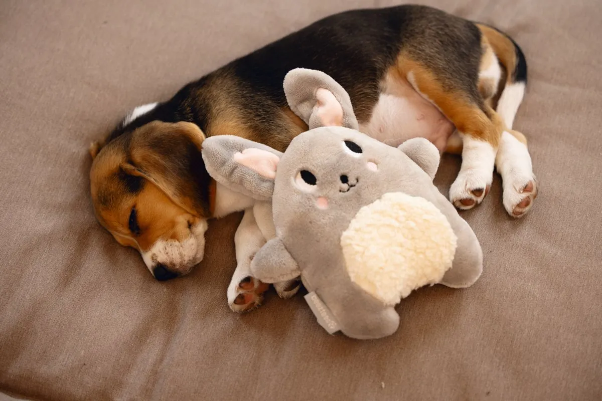 Beeztees Puppy Snoet Pluche Hondenspeelgoed - Grijs