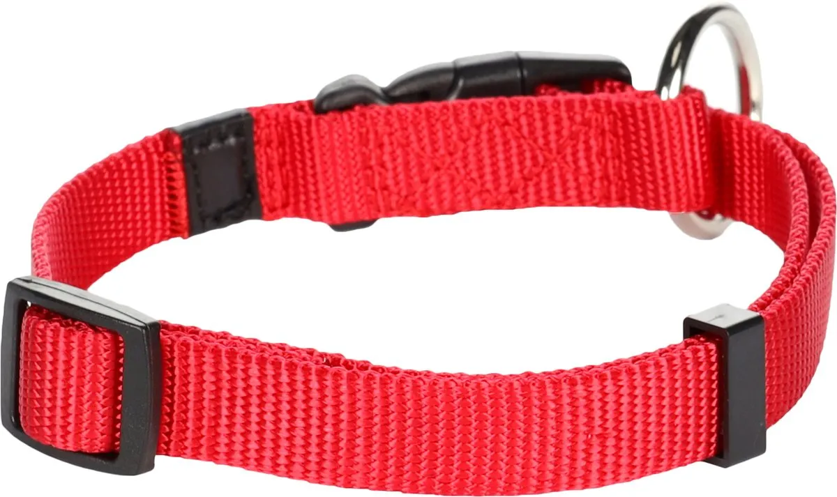 Flamingo Ziggi Halsband - Rood S 30-45cm