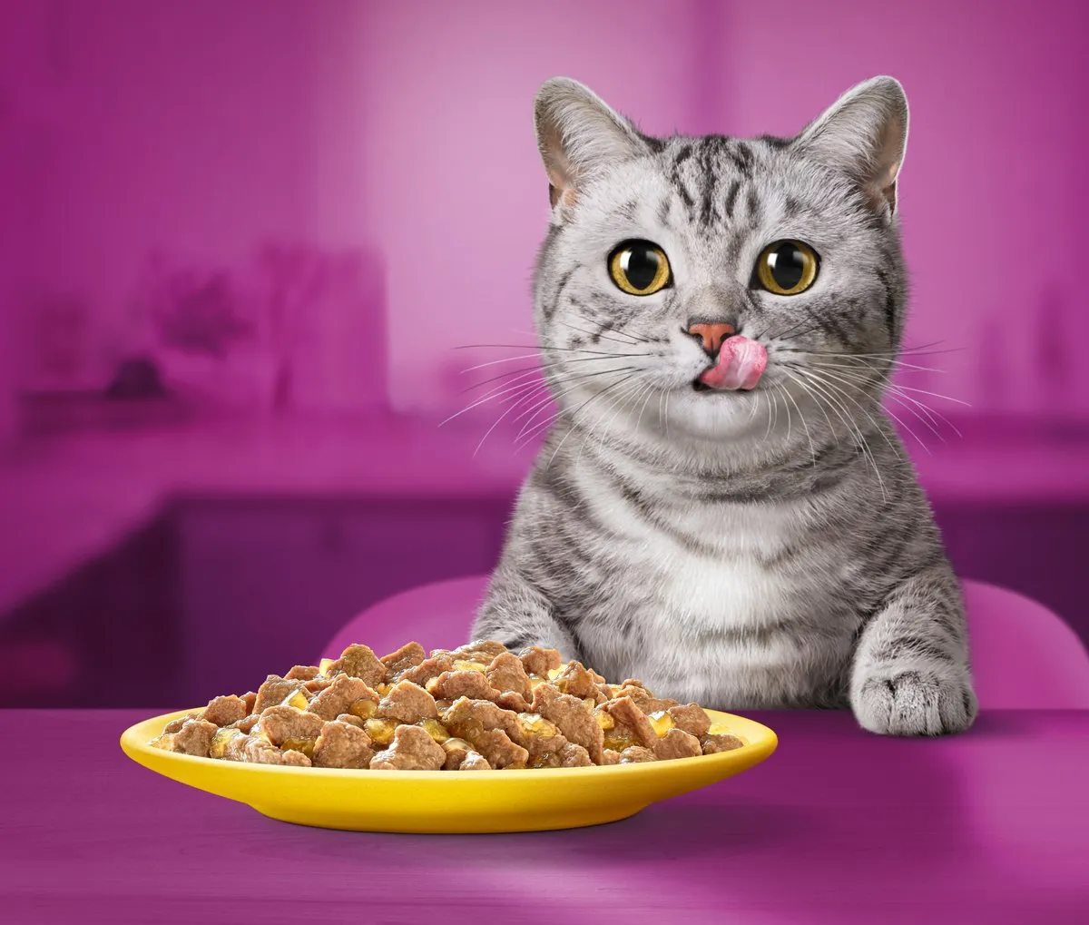 Whiskas Adult Gevogelte in Gele Jeli Giga-Pack 80x85g