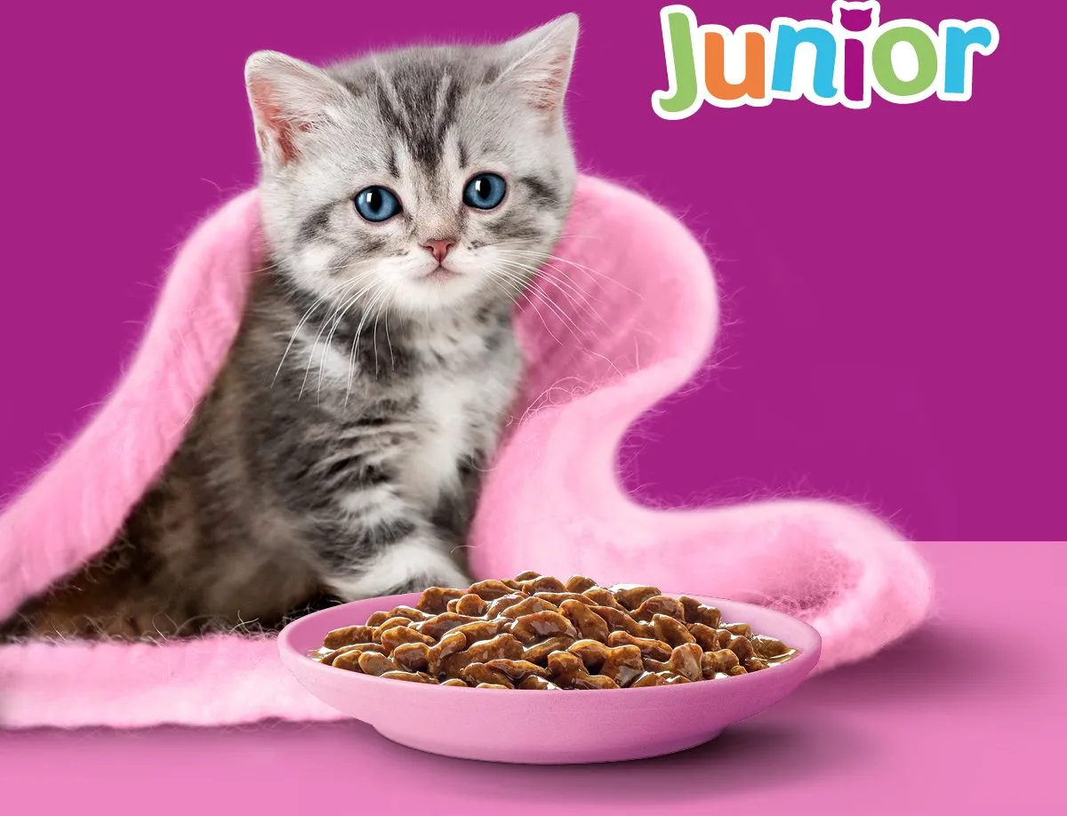 Whiskas Junior Classic Selectie in Saus 48x85g - afbeelding 6 van 6