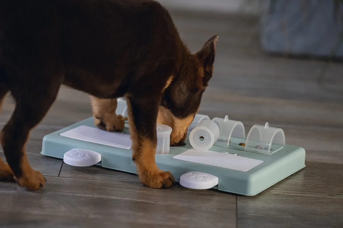 Beeztees Puppy Trainingsspel Riff - Groen - afbeelding 6 van 6