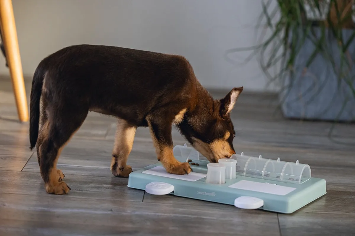 Beeztees Puppy Trainingsspel Riff - Groen