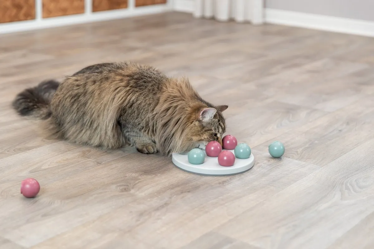 Trixie Cat Activity Solitaire - Blauw - afbeelding 5 van 6
