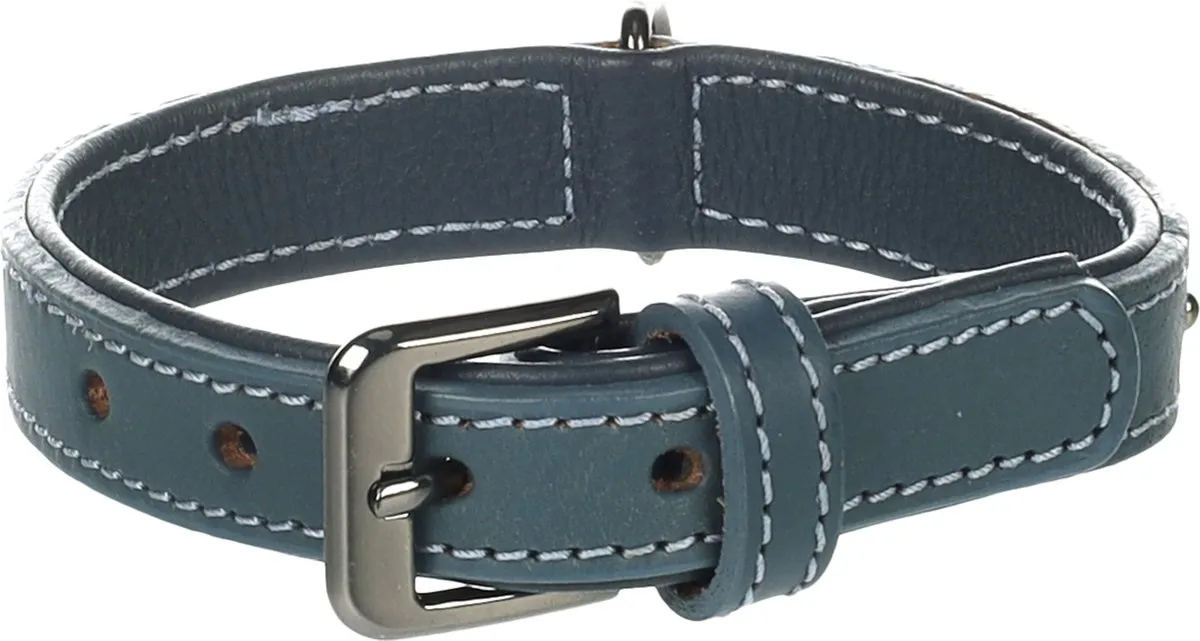 Flamingo Denver Halsband Blauw S 25-31cm