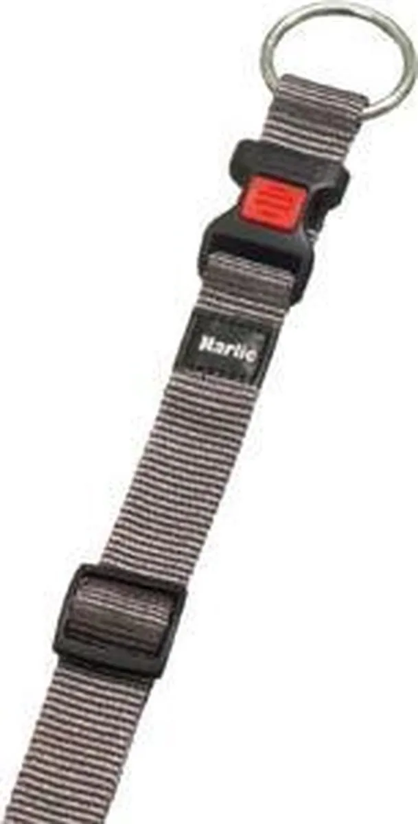 Flamingo Hondenhalsband Asp 40-55cm 20mm - Taupe