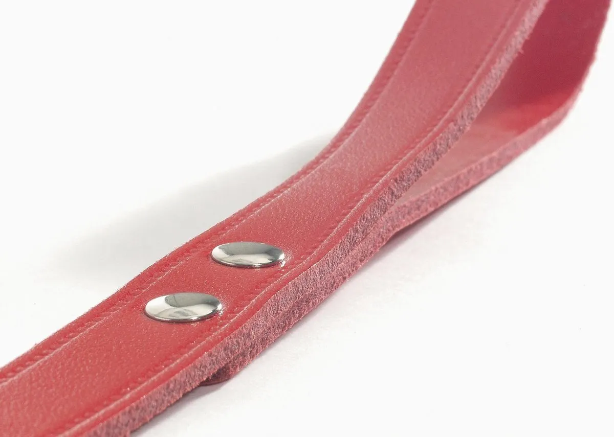 Beeztees Hondenriem Rood 100x10cm
