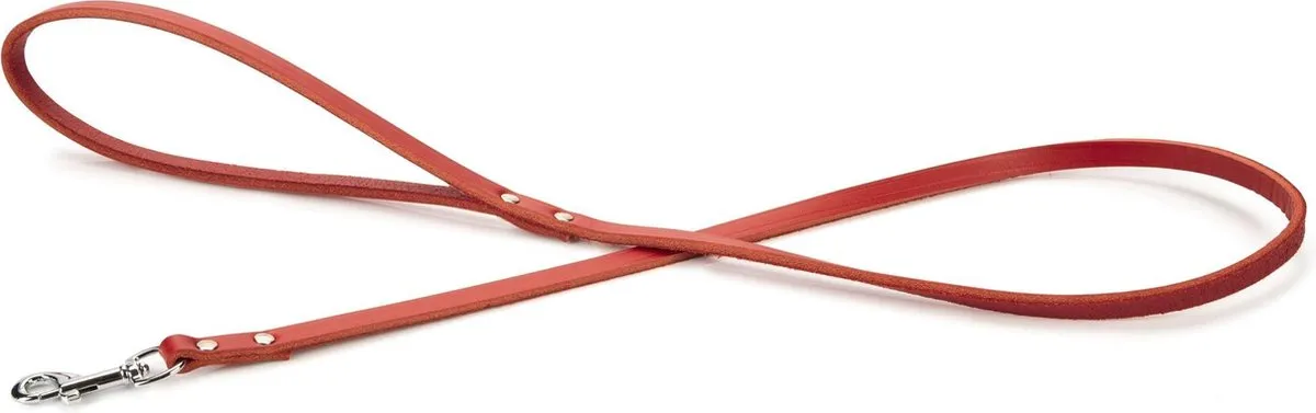 Beeztees Hondenriem Rood 100x10cm