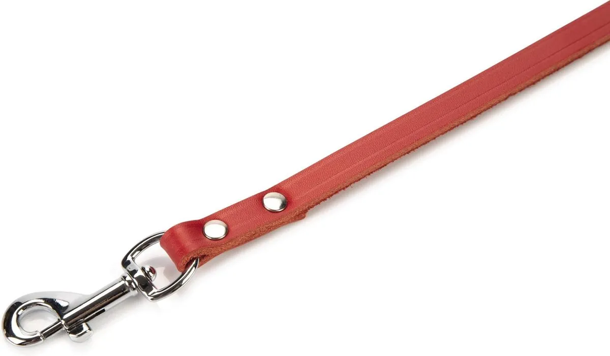 Beeztees Hondenriem Rood 100x10cm