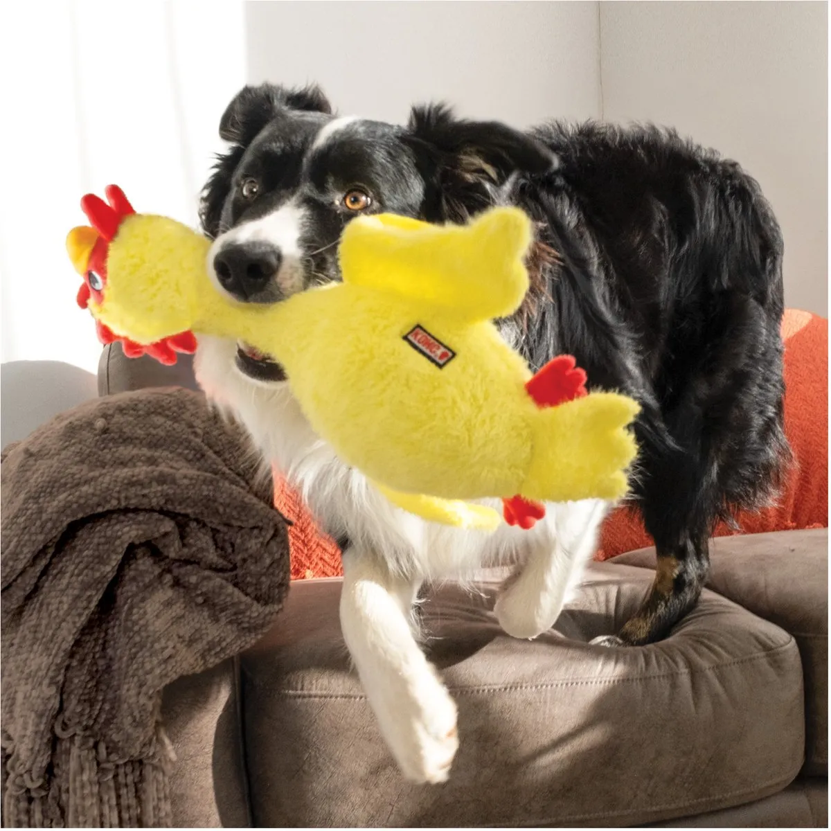 KONG Scruffs Chicken Hondenspeelgoed M - Rood/Geel