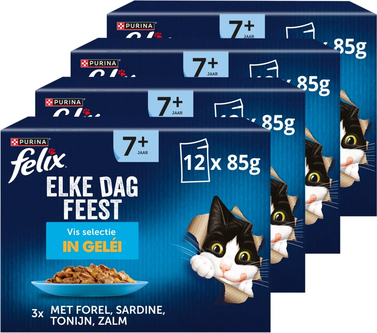 Felix Elke Dag Feest 7+ Senior Vis Selectie Natvoer
