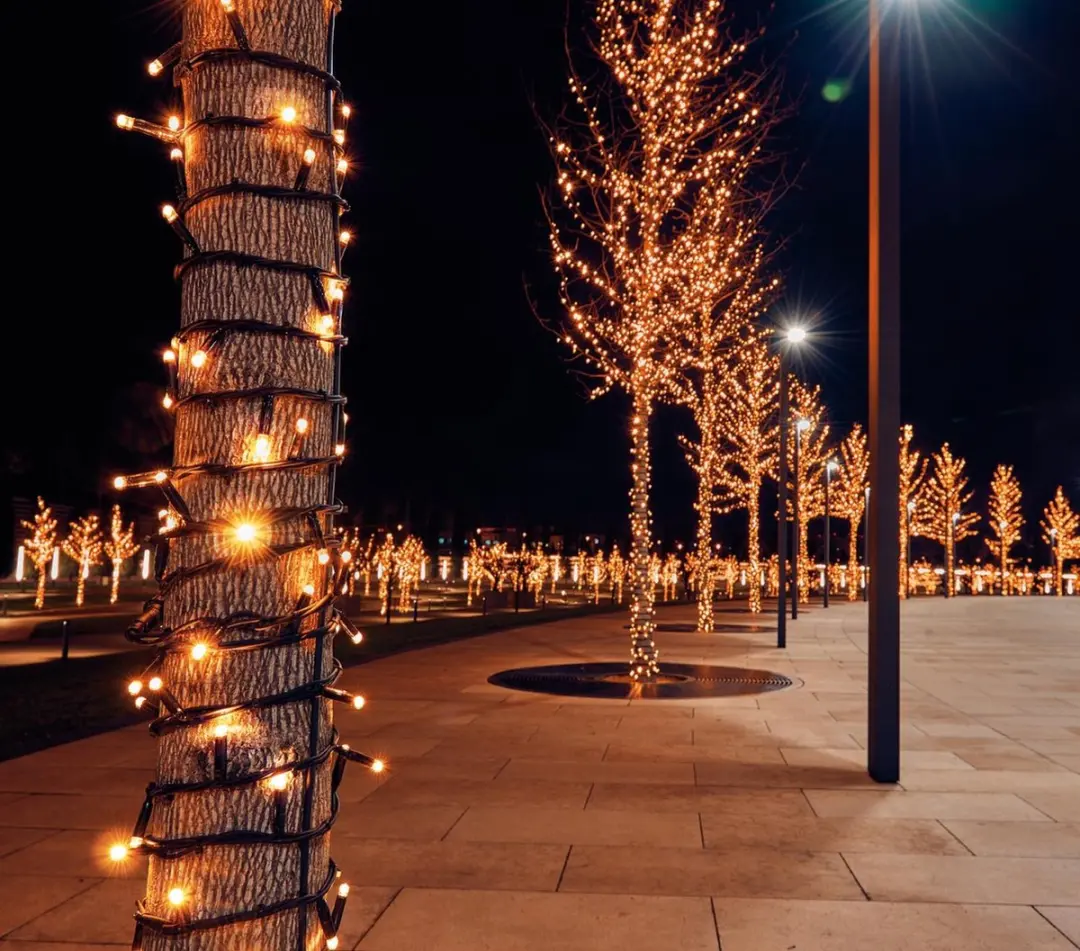 Anna's Collection Connect De Luxe 100Led Flitsend Warm Wit 10m