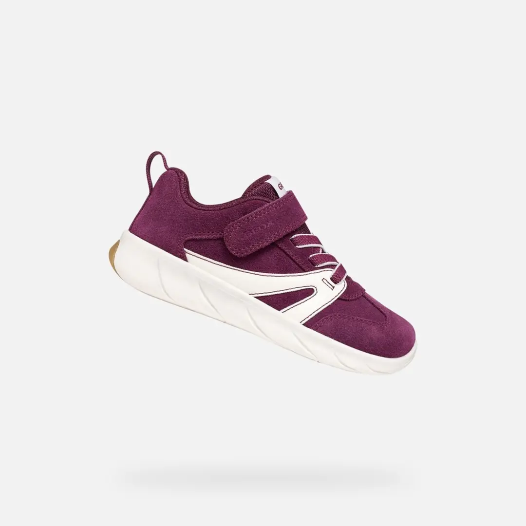 GEOX Sneakers -