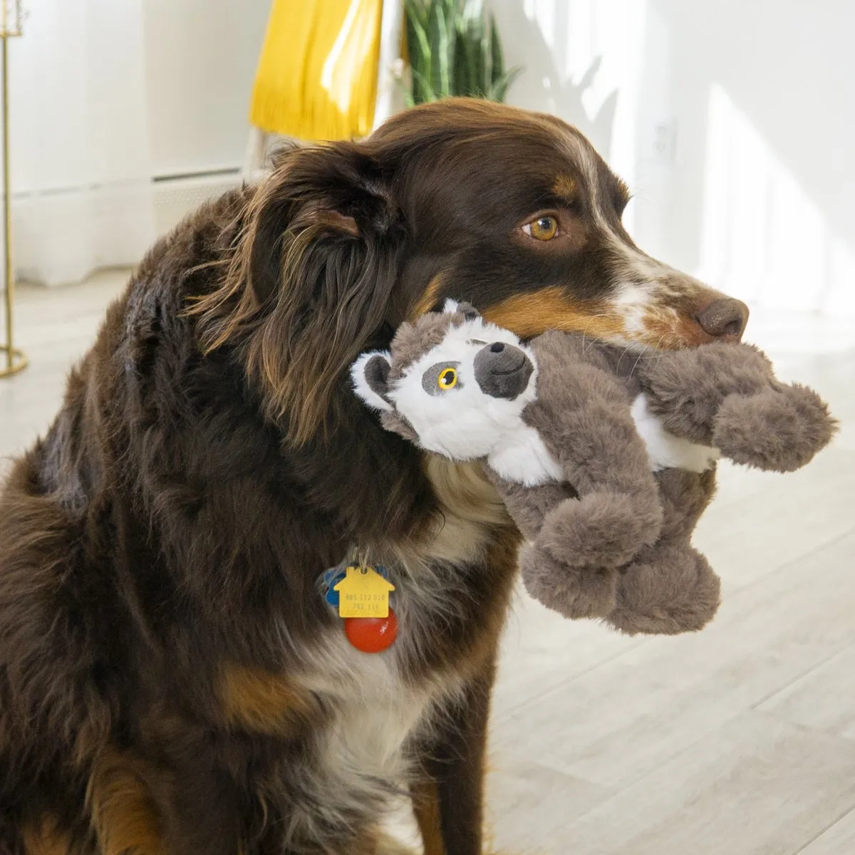 KONG Hond Scampers Lemur Medium - Zwart/Wit/Grijs