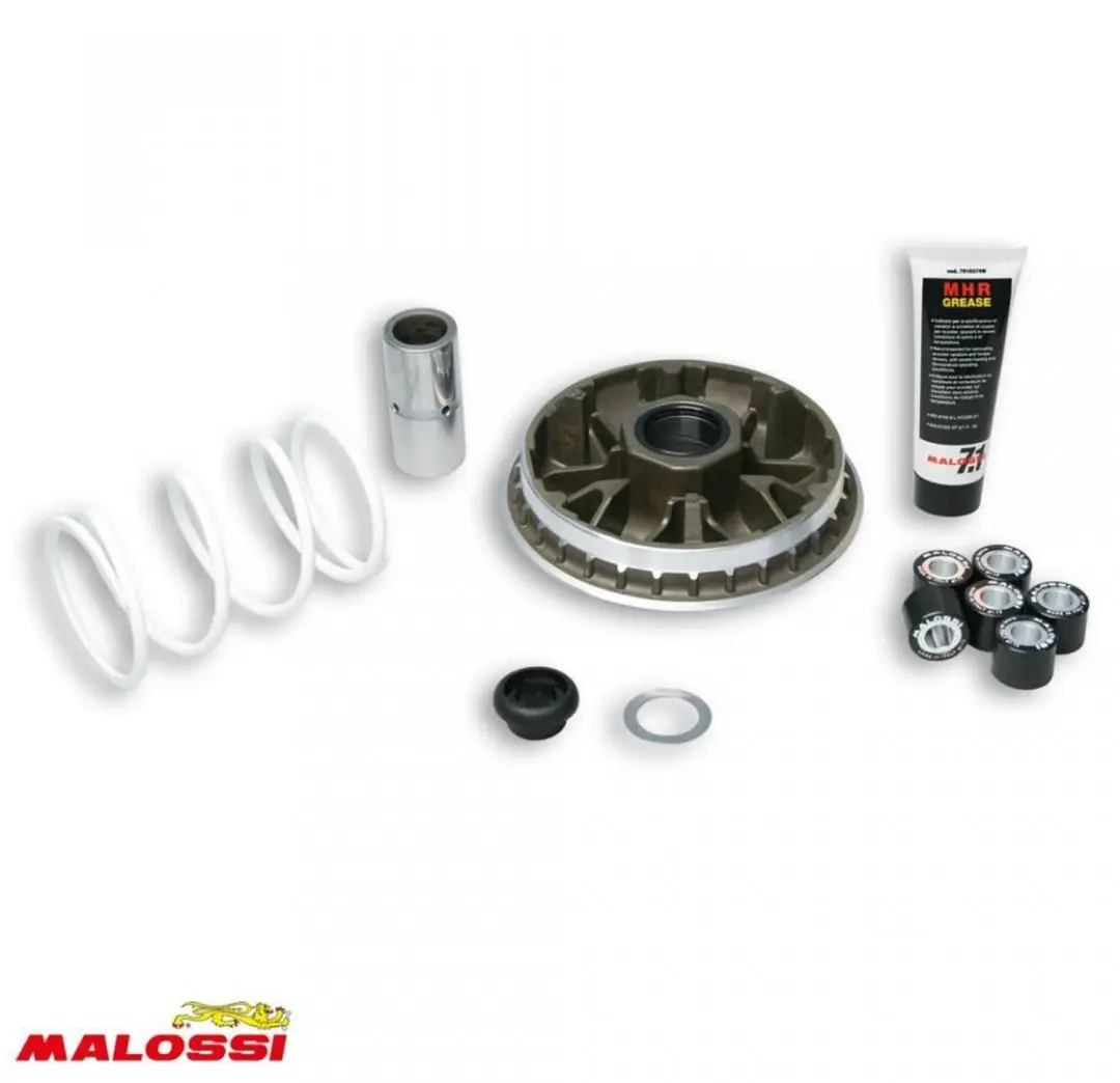 Variateur Malossi pour Scooter Honda 300 NSS Forza Ie 4T Euro4 2013 à 2017 Neuf