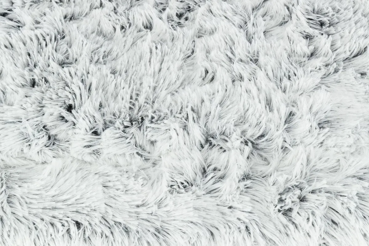 Trixie Ligmat Harvey - Blauw