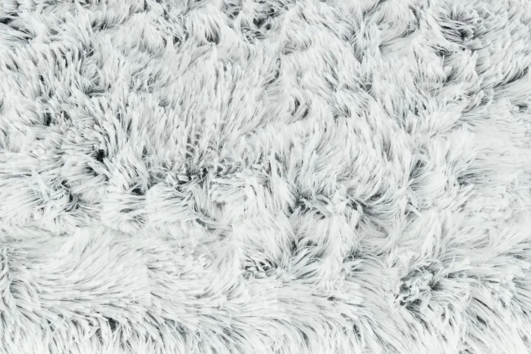 Trixie Ligmat Harvey - Blauw