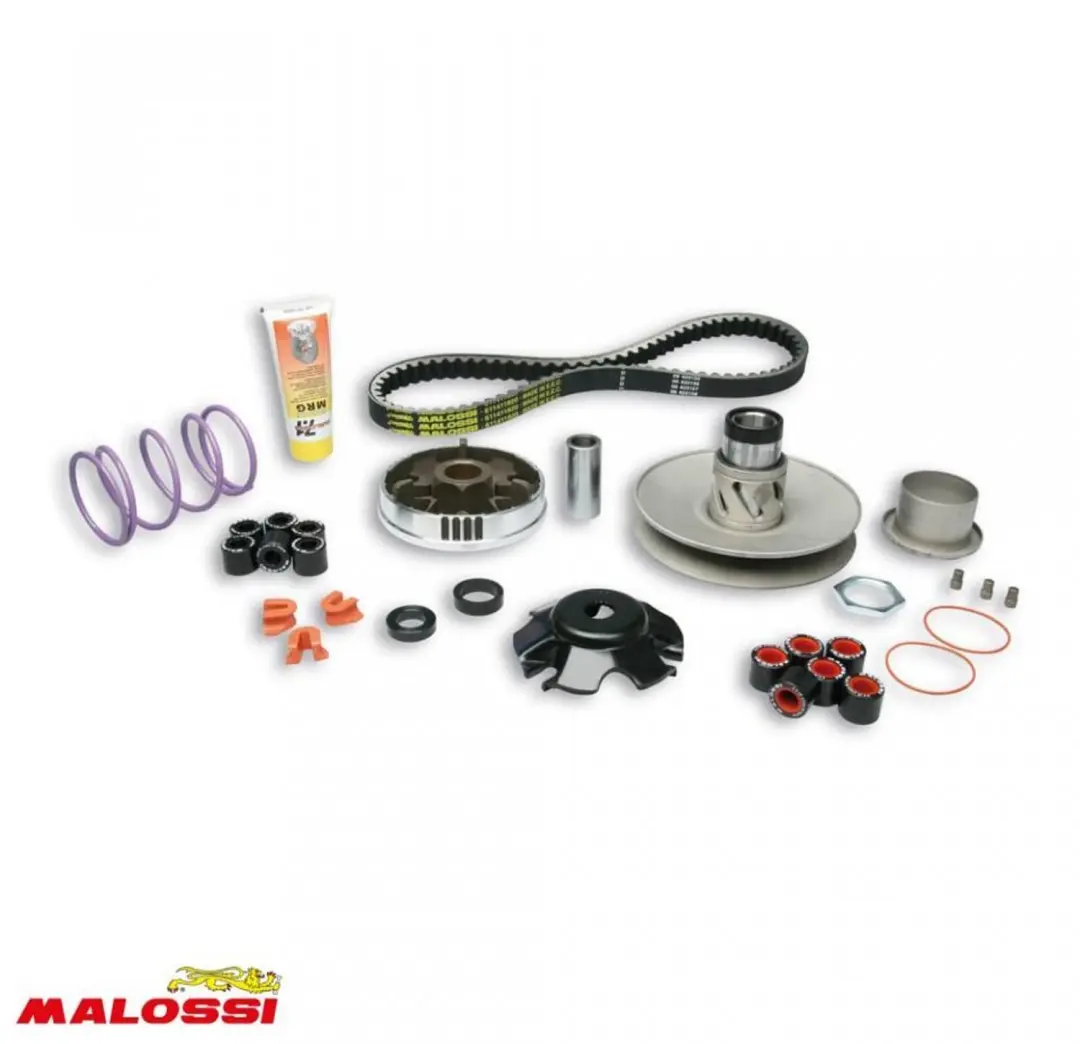 malossi variator voor yamaha 50 neos 2t scooter 6114219 / over range nieuw