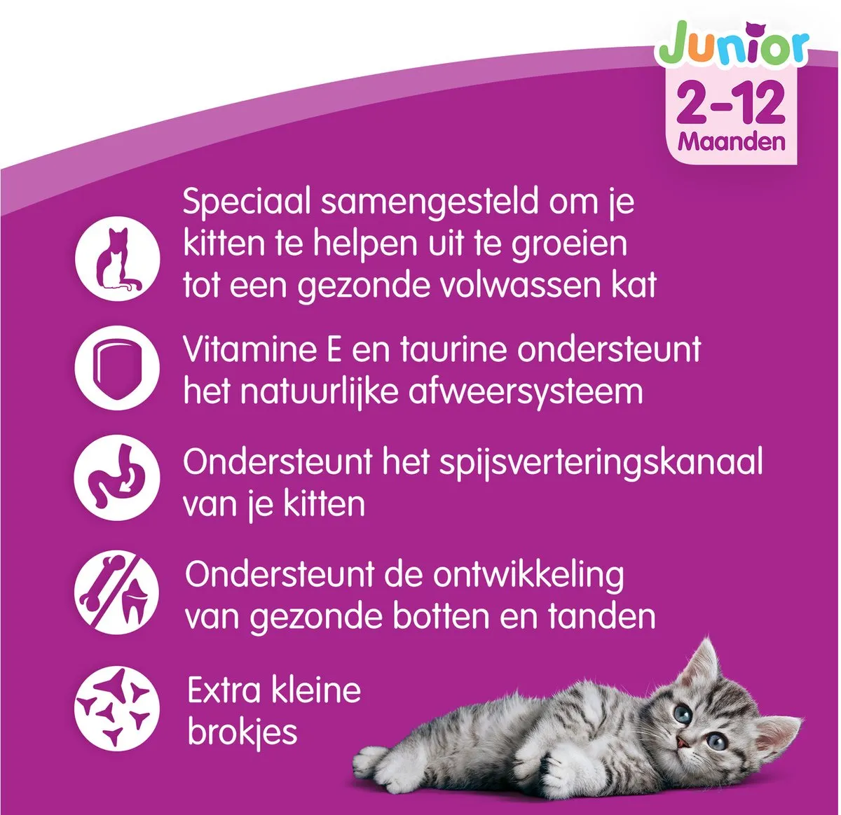 Whiskas Droog Junior Kip Kattenvoer 1,9kg