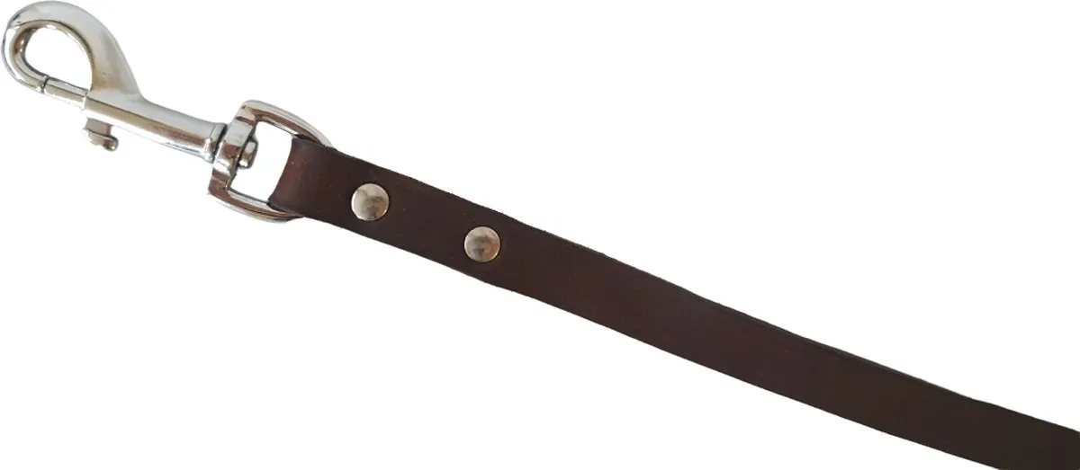 Flamingo Rondo Hondenriem - Donkerbruin Leder 16mm x 100cm