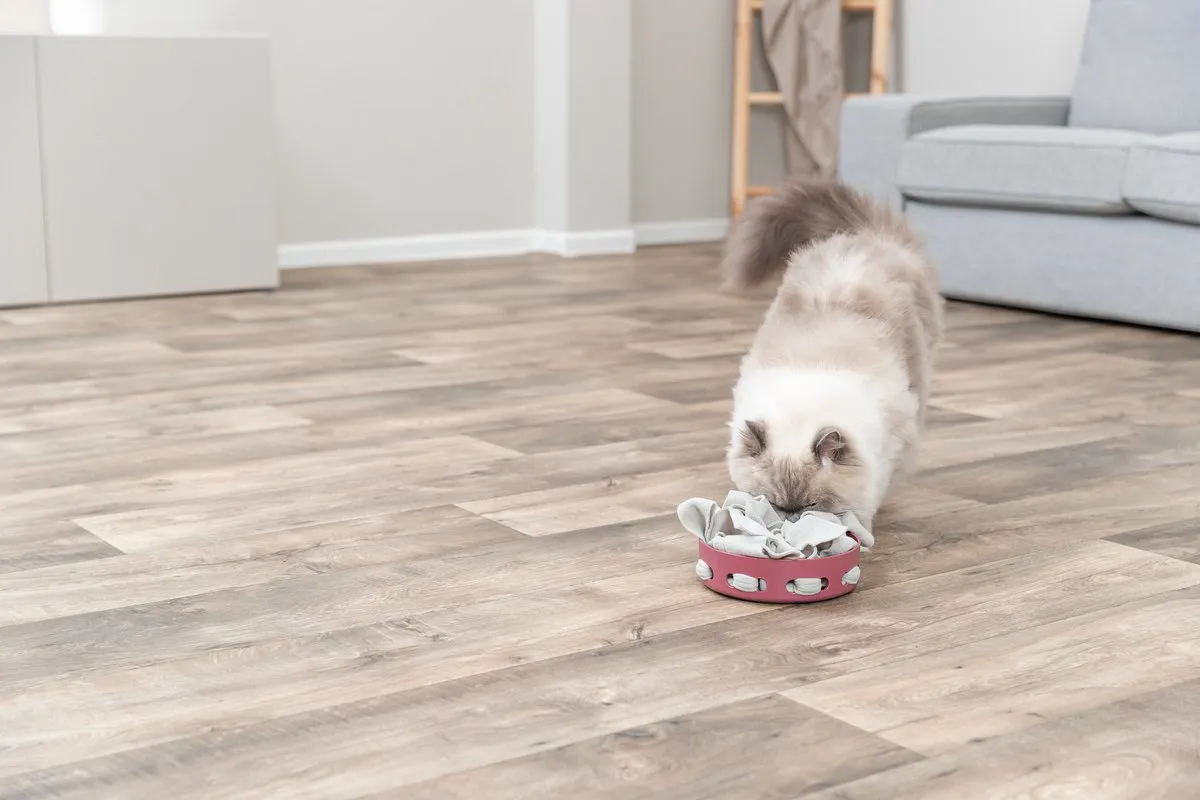 Trixie Cat Activity Hide'n'Sniff Bowl - 18x18cm - Roze