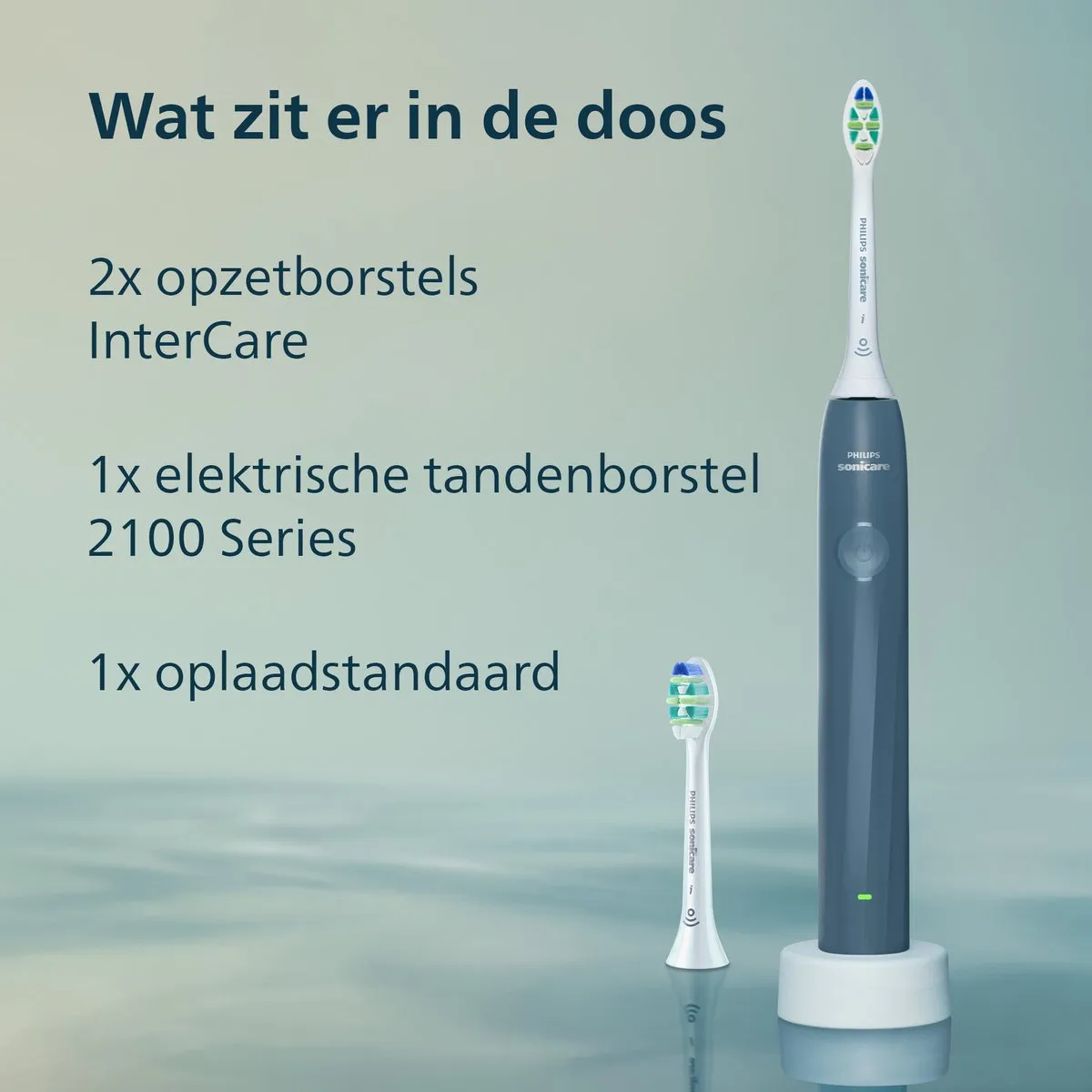 Philips Sonicare 2100 HX4022/04 Elektrische Tandenborstel - Blauw
