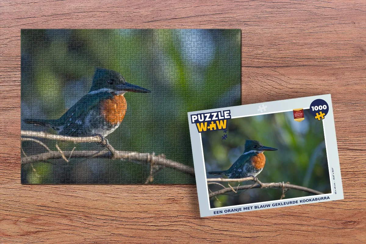 PuzzleWow Legpuzzel Kookaburra 1000 Stuks - Multicolor