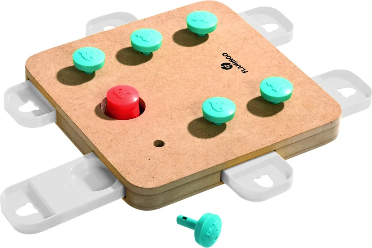 Flamingo Brain Train Cube Houten Denkspel Hond