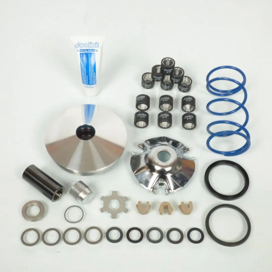 Variateur Polini pour Scooter Aprilia 50 Sr Lc 1994 à 1996 Neuf