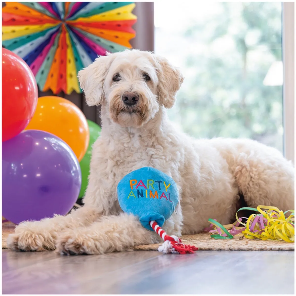 Beeztees Hondenspeelgoed Party Animal 39cm - Blauw