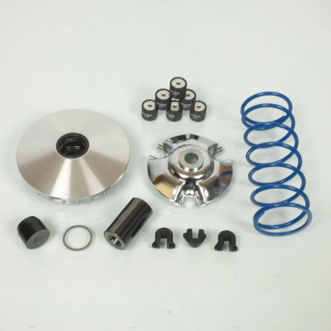 Variateur Polini pour Scooter Malaguti 125 Ciak Neuf